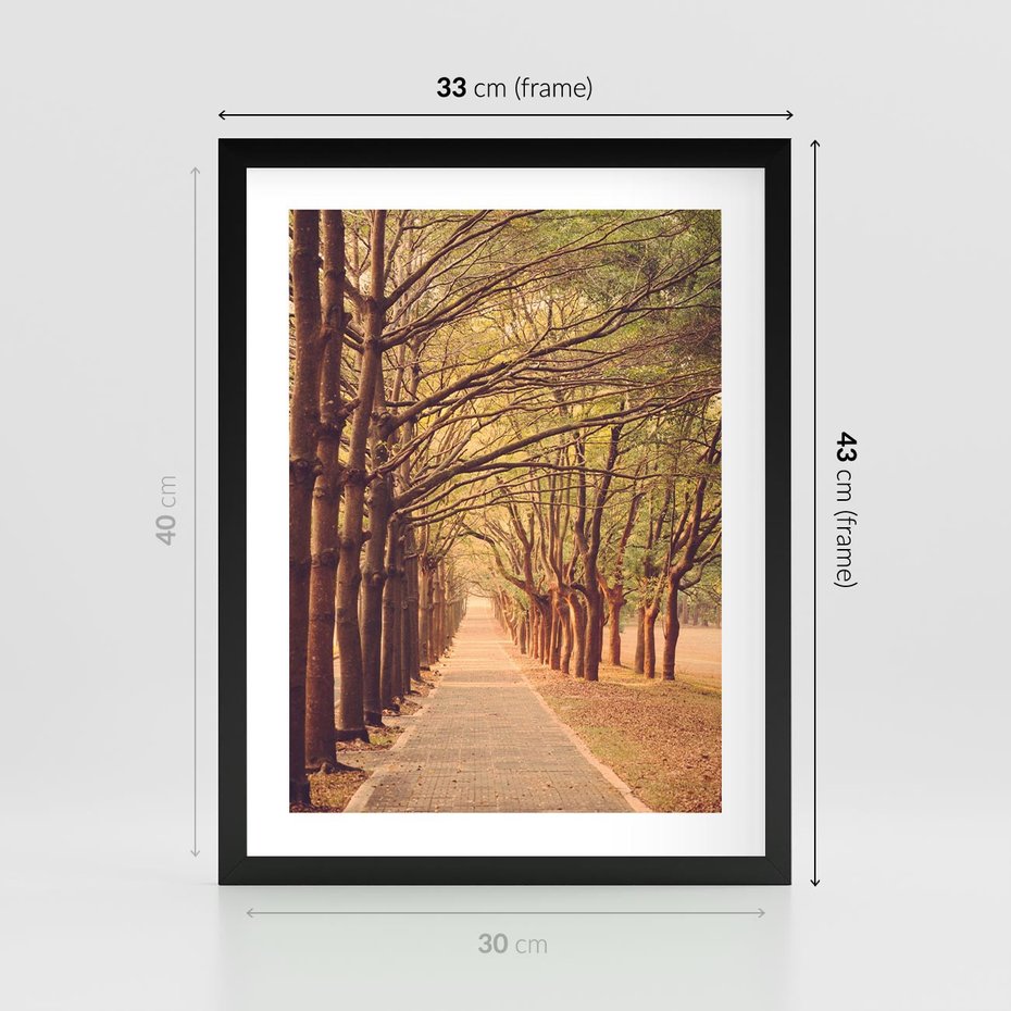 Plakat w ramie 30x40 - Wędrówka między drzewami - droga, drzewa - rama czarna