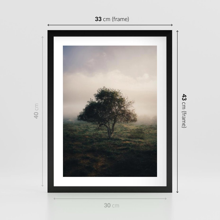 Plakat w ramie 30x40 - Zamglona Prostota - artystyczna fotografia, samotne drzewo na zamglonej łące - rama czarna