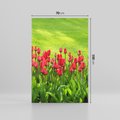 Obraz na płótnie 70x100 - Tulipanowy raj - kwiat, kwiaty
