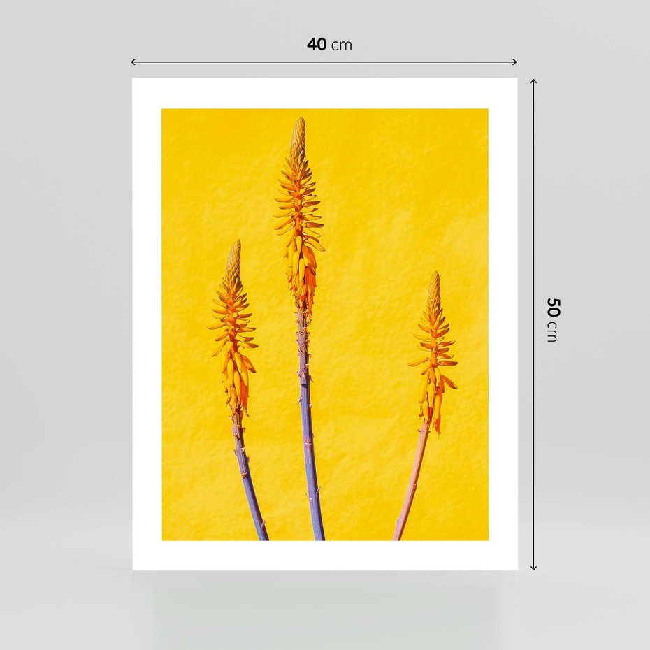 Plakat bez ramy 40x50 - Radość Natury - kolor, kwiaty