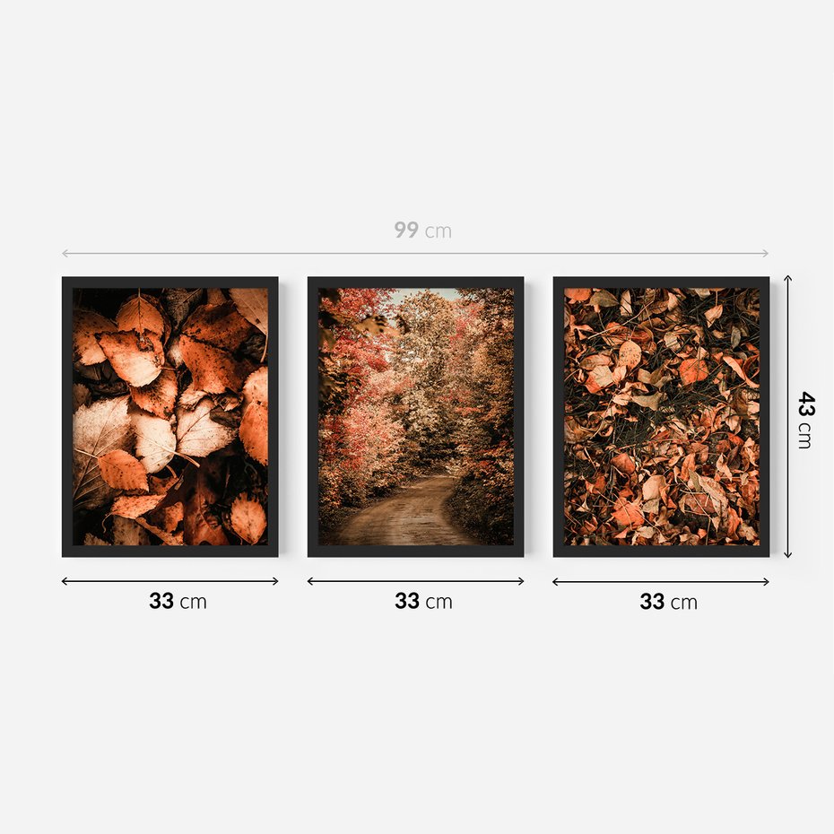 Zestaw obrazy w ramie 30x40 galeria - Liście, las, ścieżka - rama czarna
