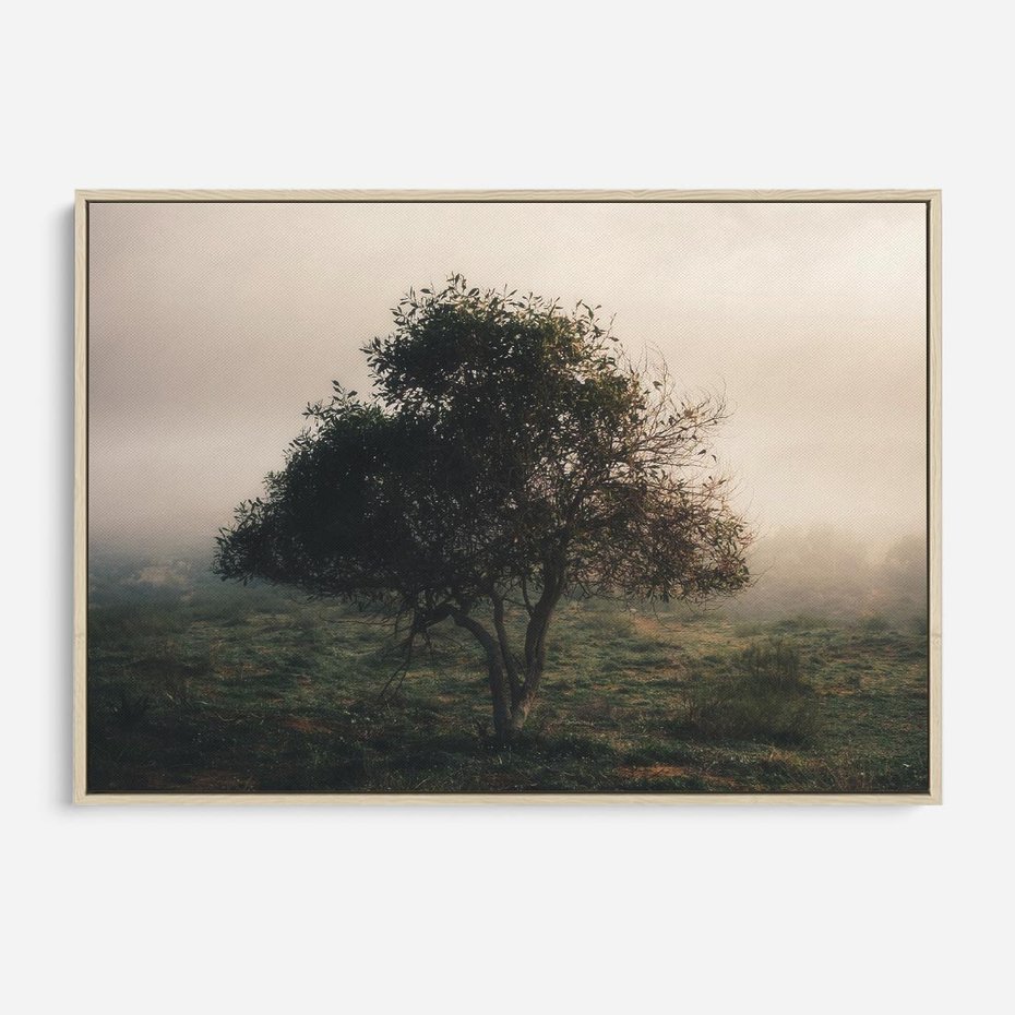 Obraz w ramie 100x70 - Zamglona Prostota - artystyczna fotografia, samotne drzewo na zamglonej łące - rama drewno