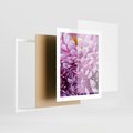 Plakat w ramie 40x50 - Fioletowy zawrót głowy - kwiat, różowy kwiat - rama biała