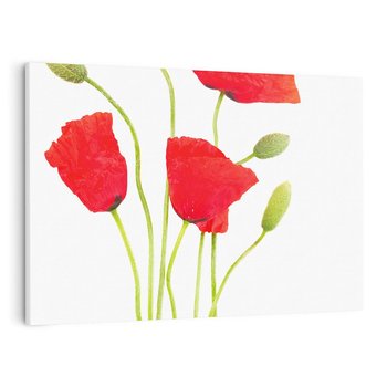 Obraz na płótnie 100x70 - Pola maków w pełnym kolorze - maki, kwiaty