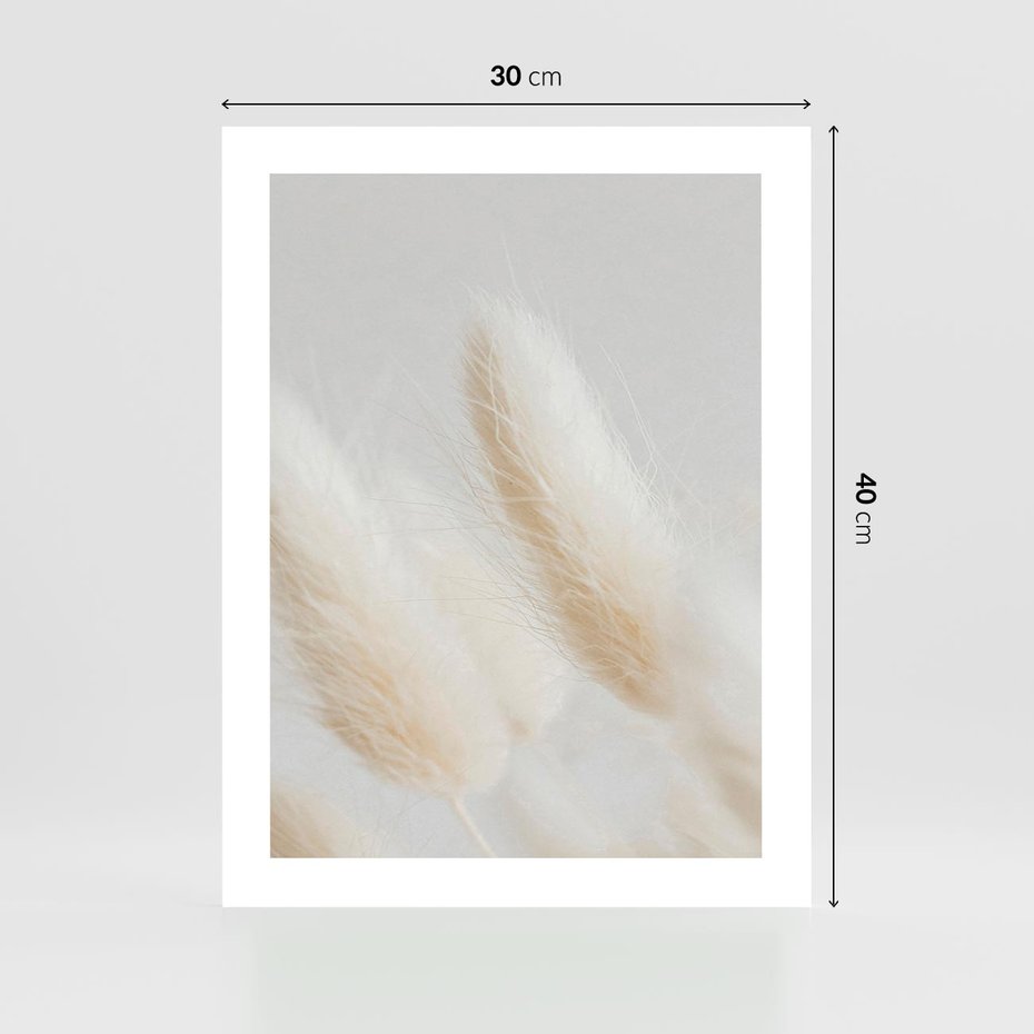 Plakat bez ramy 30x40 - Czysty Minimalizm - białe trawy, minimalizm