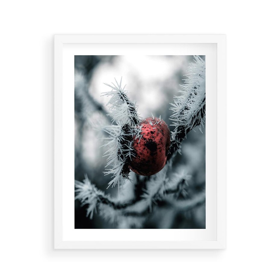 Plakat w ramie 40x50 - Chwila Zimowego Uroku - zima, ośnieżona gałązka - rama biała