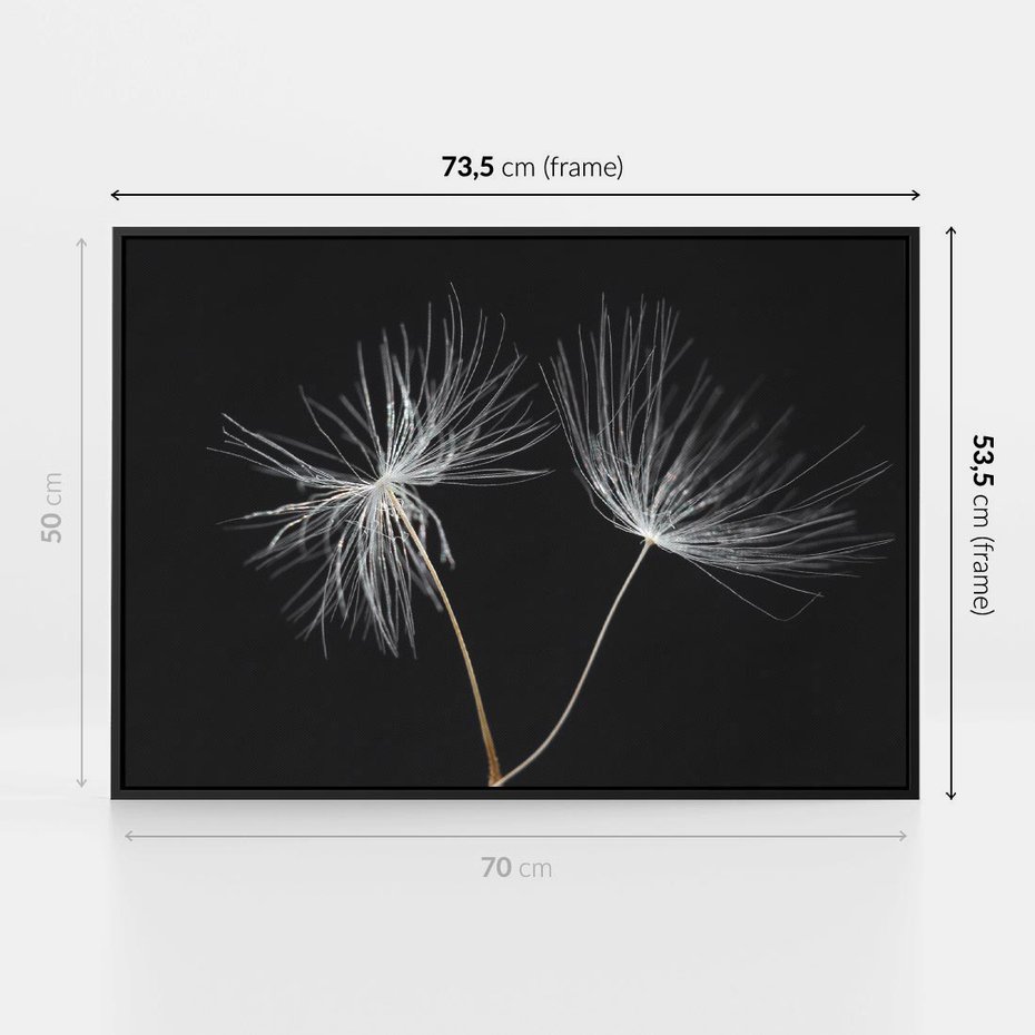 Obraz w ramie 70x50 - Delikatność Wiatru - dmuchawce, makro - rama czarna
