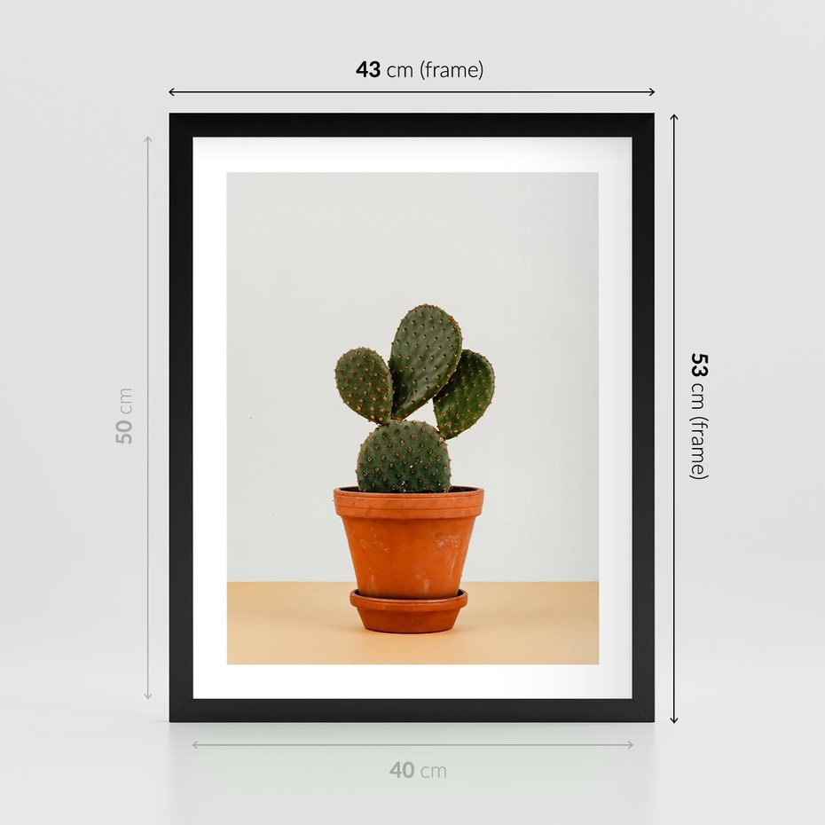 Plakat w ramie 40x50 - Kwiatowy taniec kaktusa - kaktus, kwiat - rama czarna