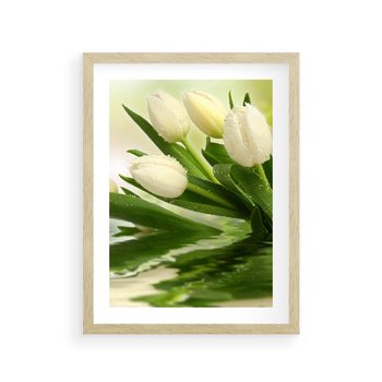 Plakat w ramie 30x40 - Białe Piękno - białe, tulipany - rama drewno