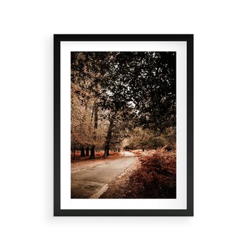 Plakat w ramie 40x50 - Magia Jesieni: Pejzaż Parku w Odcieniach Żółci - jesień, park - rama czarna