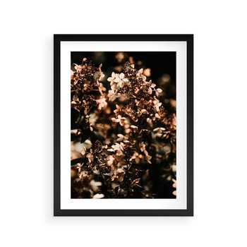 Plakat w ramie 50x70 - Sucha Kompozycja Kwiatów - suche kwiaty hortensji - rama czarna
