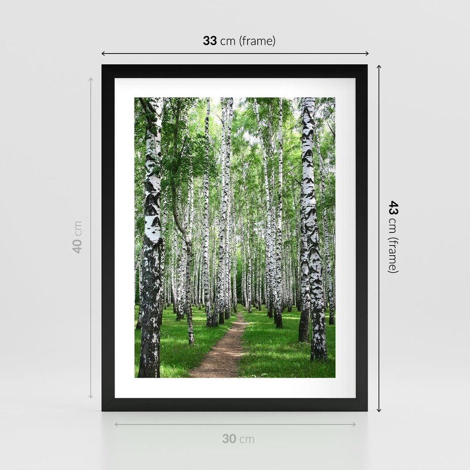 Plakat w ramie 30x40 - Magia lasu pełnego brzóz - las, brzozy - rama czarna