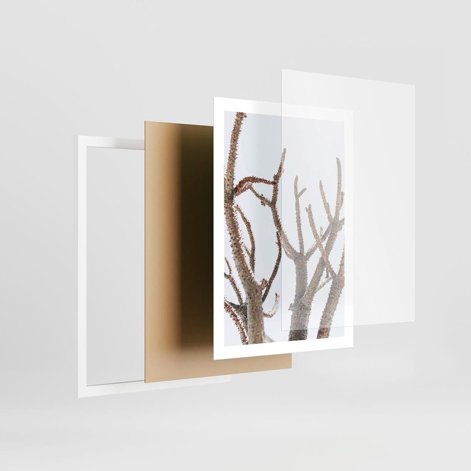 Plakat w ramie 50x70 - Pustynna Harmonia Gałęzi - pustynna roślina, suche gałęzie - rama biała