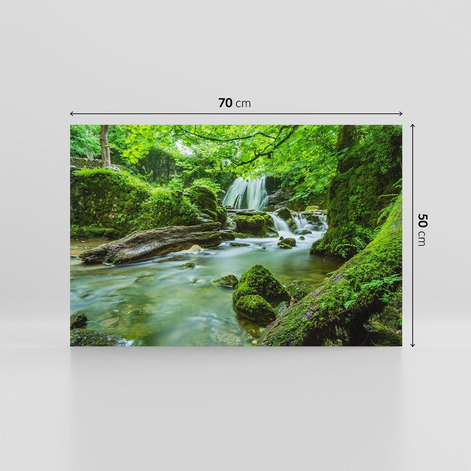 Obraz na płótnie 70x50 - Las przy rzece: potężny wodospad - las, rzeka