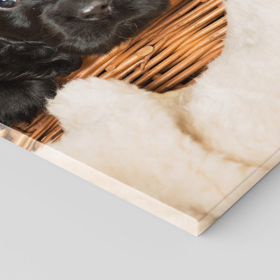 Obraz na płótnie 80x120 - Uroczy szczeniak w akcji - piesek, szczeniak