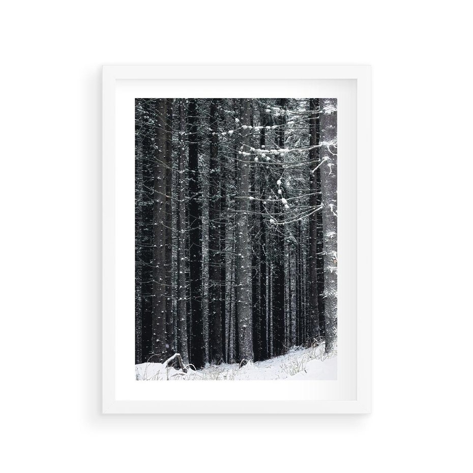 Plakat w ramie 30x40 - Leśna Cisza: Malowniczy Pejzaż Zimą - las zimą, ośnieżone pnie drzew - rama biała