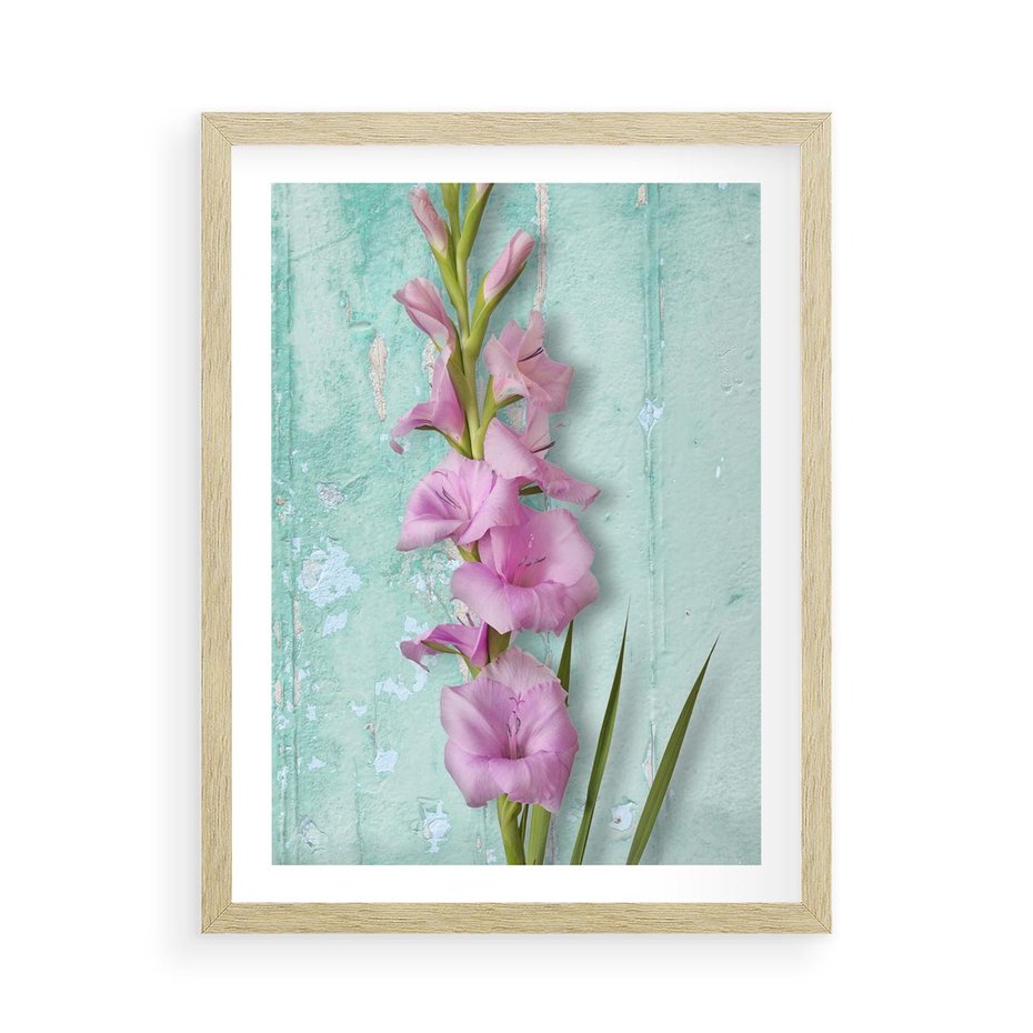 Plakat w ramie 50x70 - Piękno w delikatności - kwiaty, różowe - rama drewno