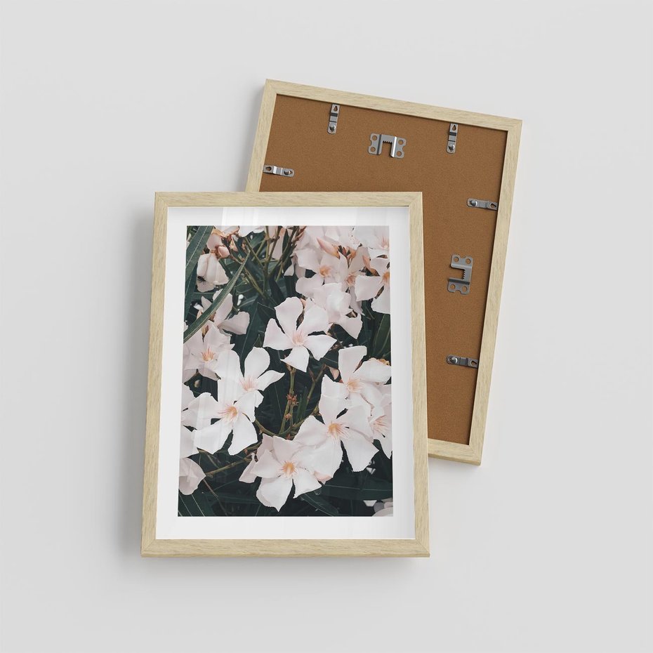 Plakat w ramie 30x40 - Egzotyczna Uroda - białe kwiaty, tropikalne kwiaty - rama drewno