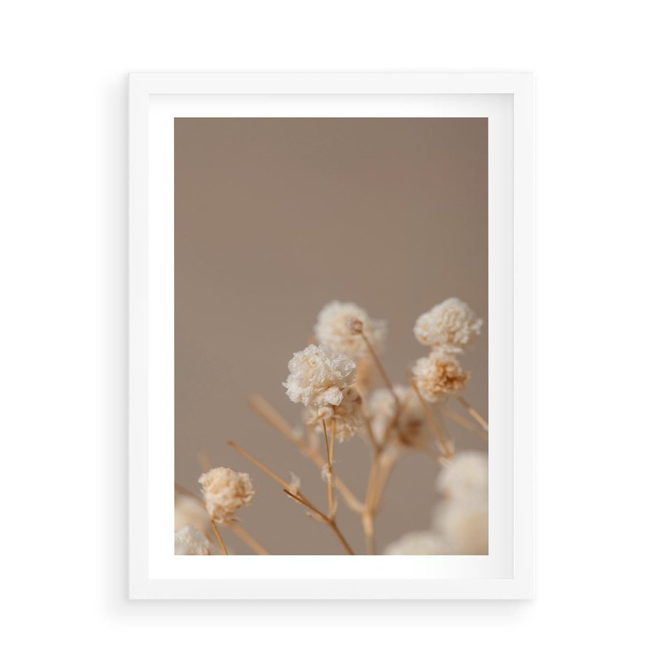 Plakat w ramie 50x70 - Przezroczyste piękno - gipsówka, suche - rama biała