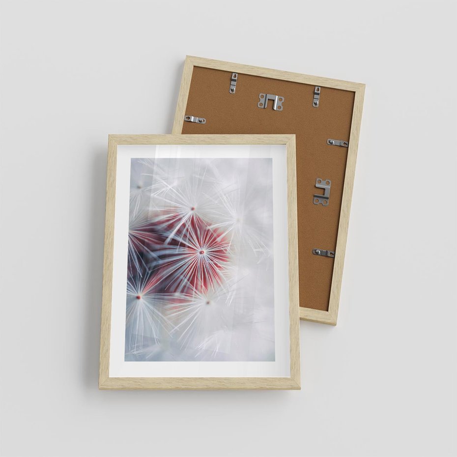 Plakat w ramie 30x40 - Minimalistyczna Delikatność - zbliżenie, dmuchawce - rama drewno
