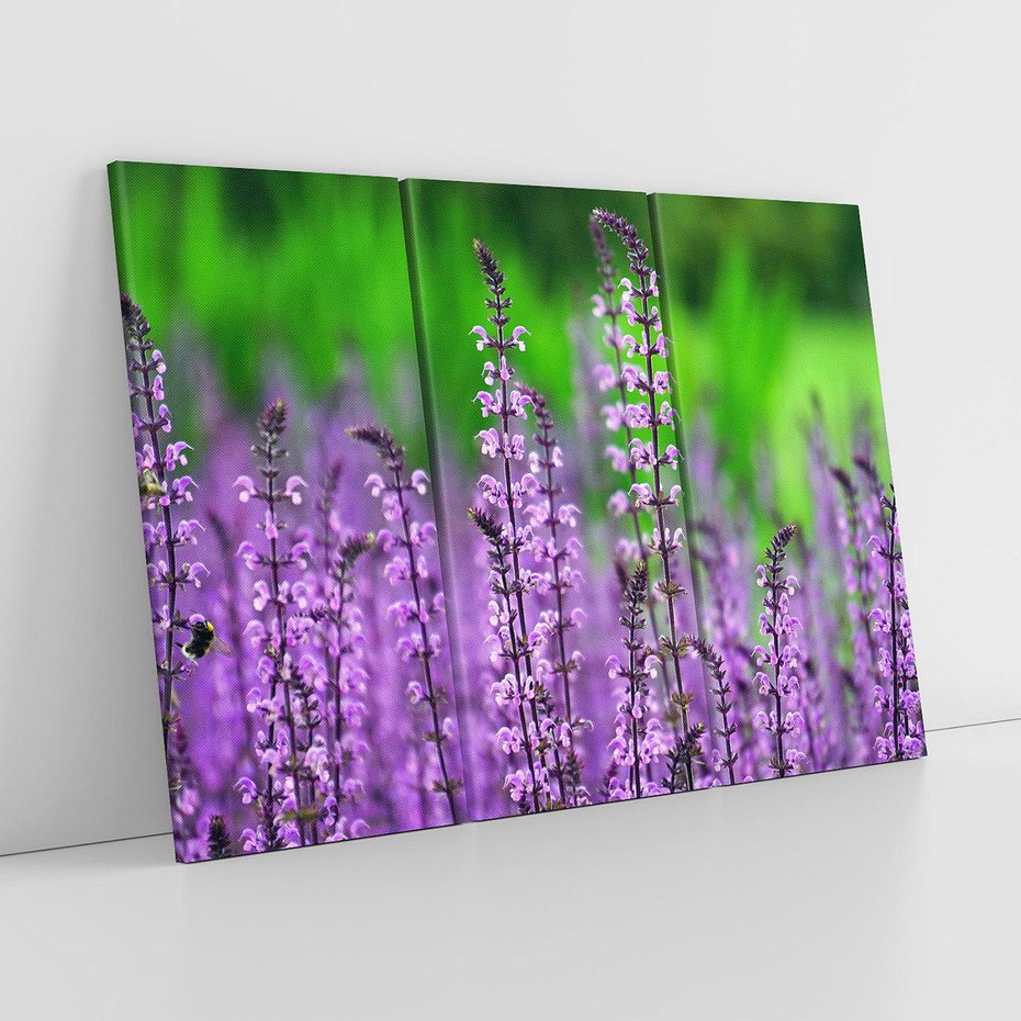 Obraz na płótnie 120x80 - Lawenda magia purpury - lawenda, kwiaty