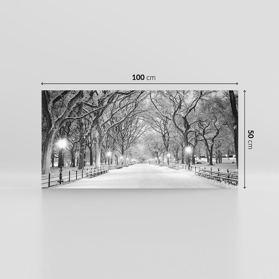 Obraz na płótnie 100x50 - cisza wśród drzew - zima, park