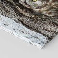 Obraz na płótnie 120x80 - Tajemniczy W świecie Nocy - sowa, dziupla