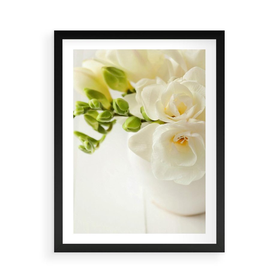 Plakat w ramie 50x70 - Subtelność białych frezji - frezja, białe - rama czarna