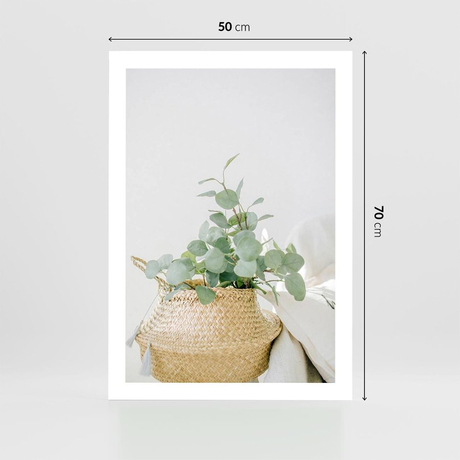 Plakat bez ramy 50x70 - Eukaliptusowa Świeżość - eukaliptus, liście w koszu z wikliny
