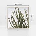 Obraz w ramie 80x80 - Ekskluzywna Roślinność - kaktusy, liście - rama drewno