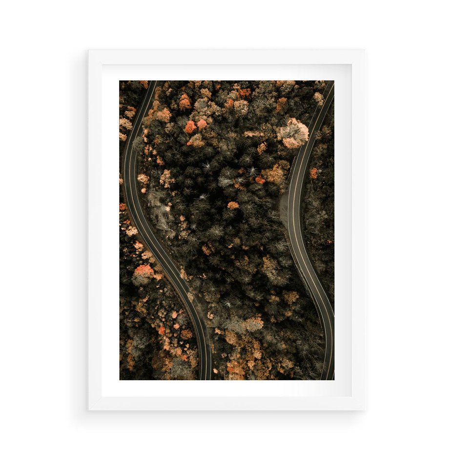 Plakat w ramie 50x70 - Las i Droga w Kolorach Jesieni - droga, ujęcie z góry - rama biała
