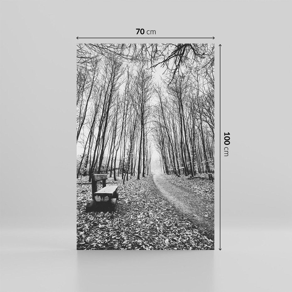 Obraz na płótnie 70x100 - Spadające Liście - czarno białe zdjecie, park