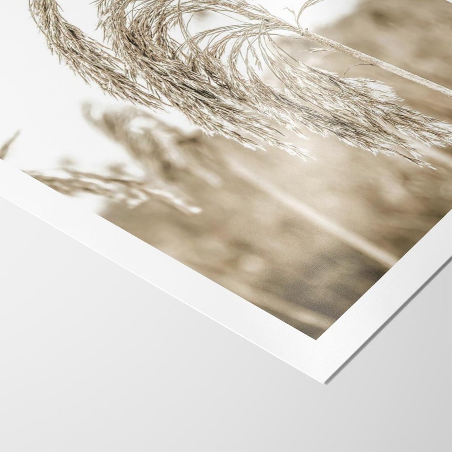 Plakat bez ramy 30x40 - Ujęcie Suchych Traw - suche trawy, zbliżenie