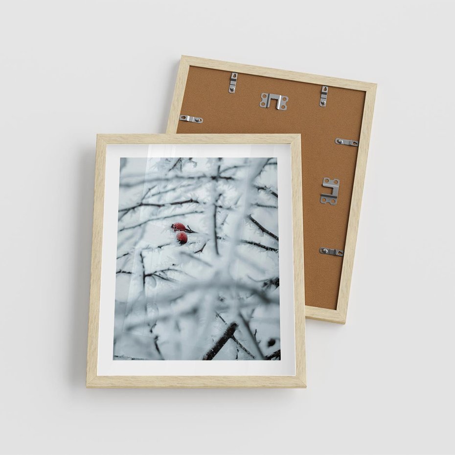 Plakat w ramie 40x50 - Zima w Detalu: Gałęzie ze Szronem i Śniegiem - śnieg, zima - rama drewno