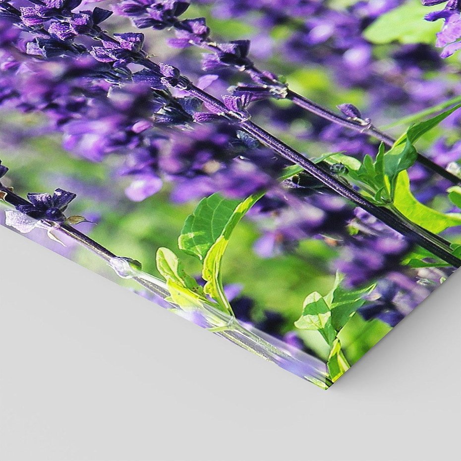 Obraz na płótnie 70x100 - Lawendowa Mgła - lawenda, kwiat