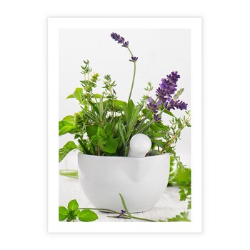 Plakat bez ramy 50x70 - Kwiaty i zioła w restauracji - kwiaty, zioła