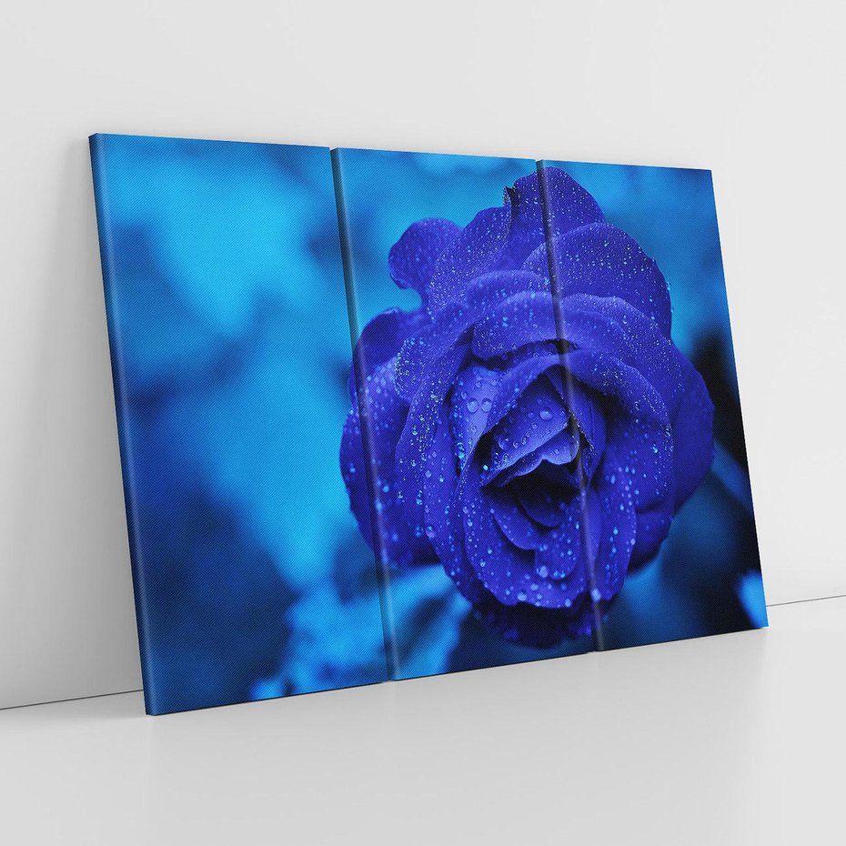 Obraz na płótnie 120x80 - Róża w pełnym rozkwicie - róża, kwiat