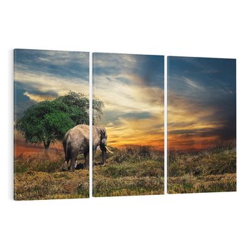 Obraz na płótnie 120x80 - Potęga słonia na afrykańskiej sawannie - słoń, sawanna