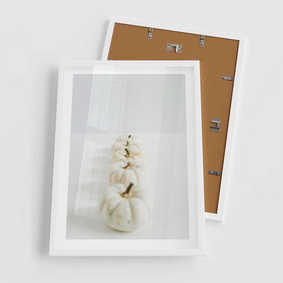 Plakat w ramie 50x70 - Białe Dynie - białe dynie, jesień - rama biała