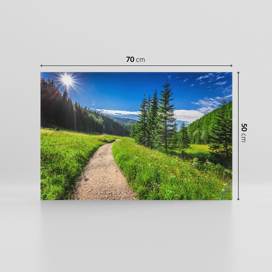 Obraz na płótnie 70x50 - Harmonia natury - góry, łąka