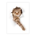 Plakat bez ramy 30x40 - Kot w Dziurze - kot, dziura