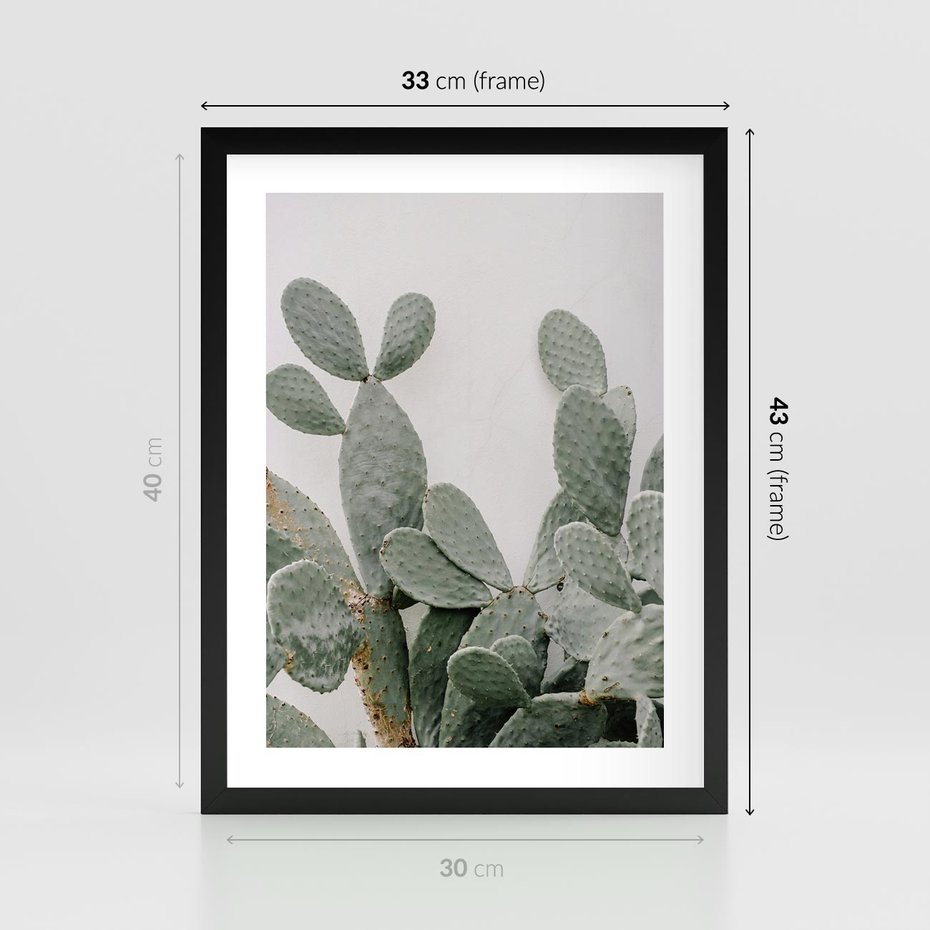 Plakat w ramie 30x40 - Imponujący Kaktus - duży kaktus, opuncja - rama czarna