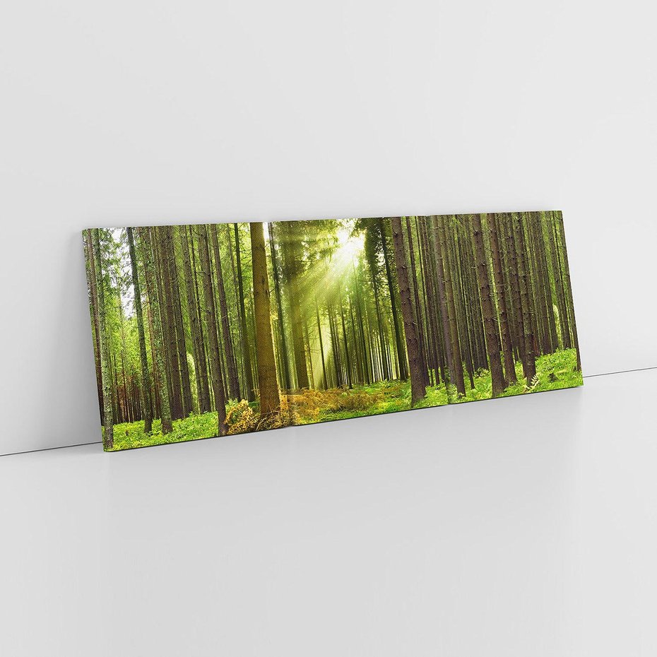 Obraz na płótnie 120x40 - Spokój wśród drzew: las w odcieniach zieleni - las, drzewa