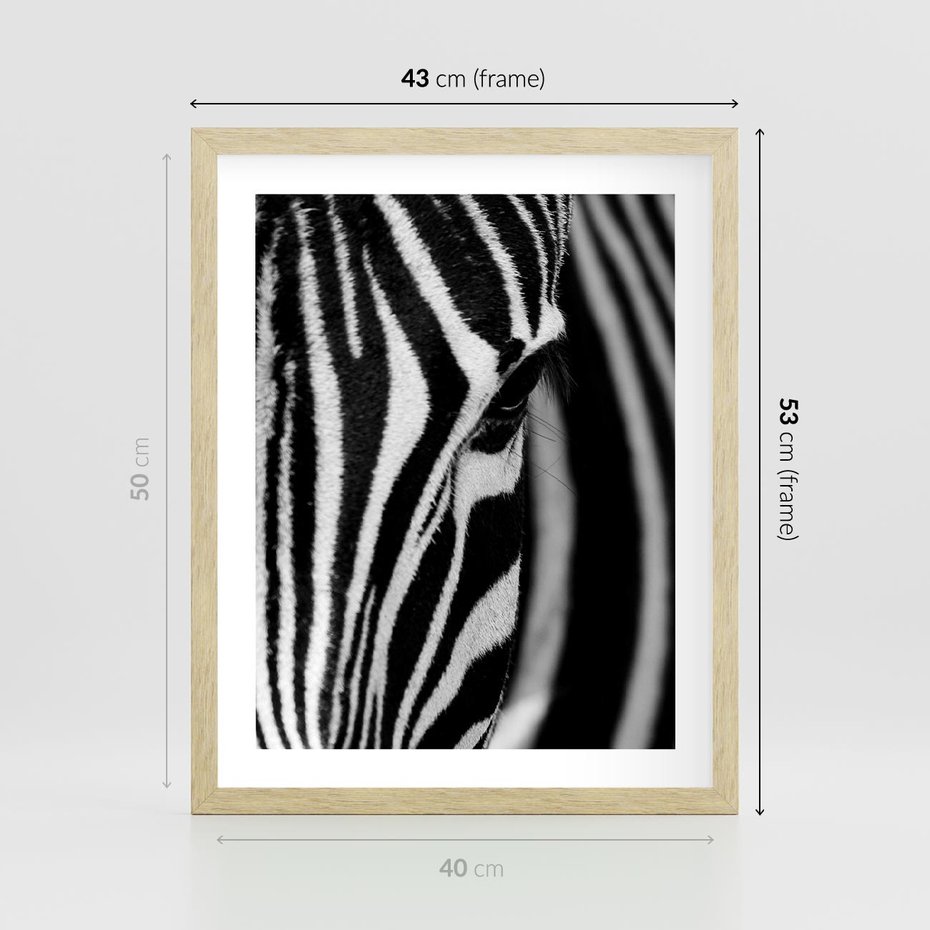 Plakat w ramie 40x50 - Pasy Zebr - zebra, paski - rama drewno