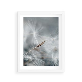 Plakat w ramie 30x40 - Piękno w Delikatności - dmuchawiec, makro zdjęcie - rama biała