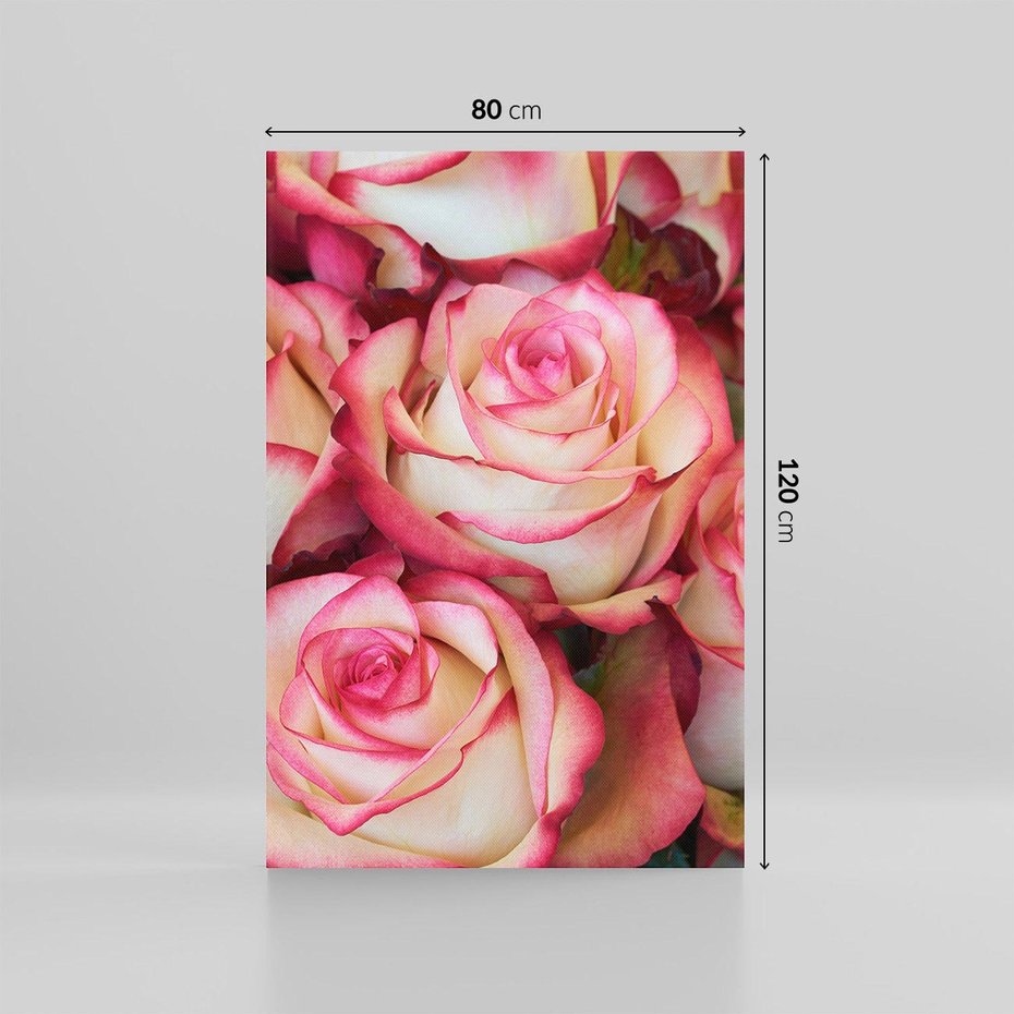 Obraz na płótnie 80x120 - Różany urok - kwiaty, róże