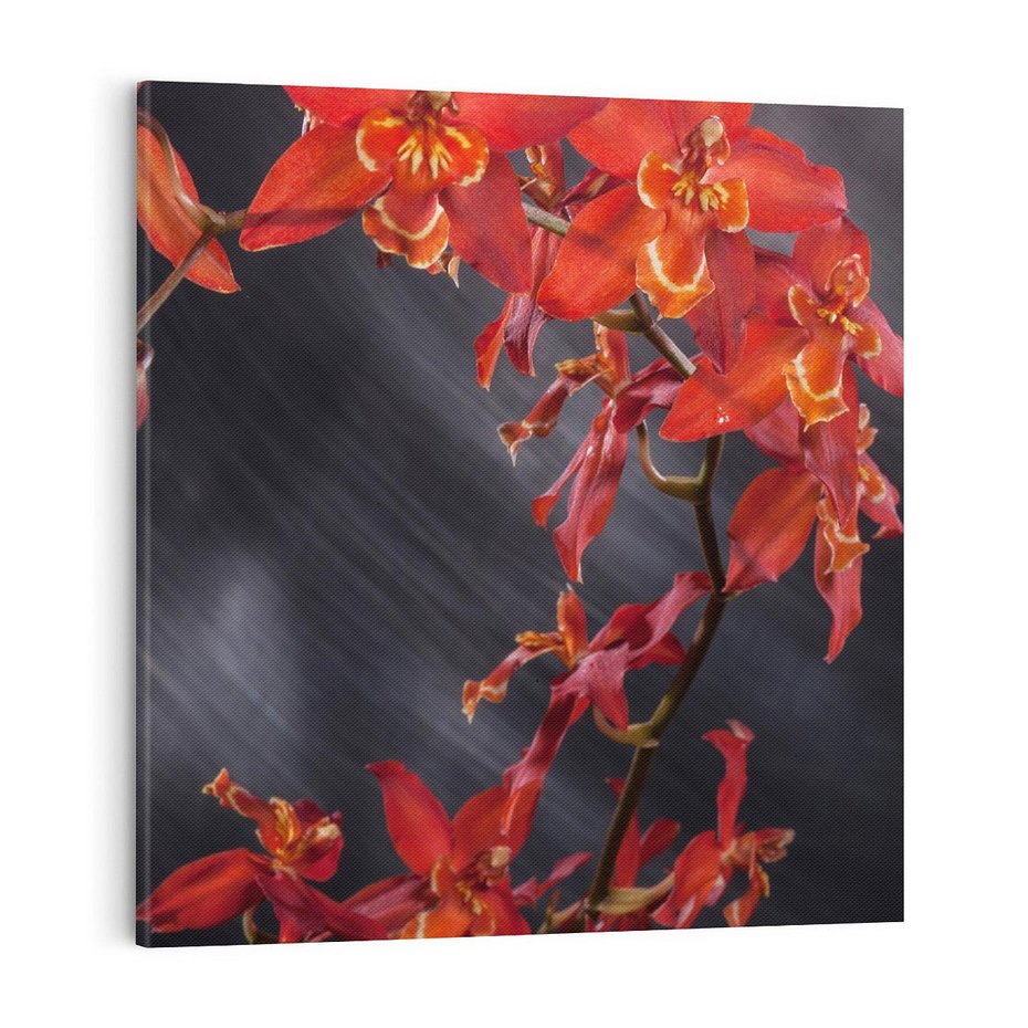 Obraz na płótnie 70x70 - Kolorowy Raj - kwiaty, tropikalne