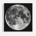 Obraz w ramie 50x50 - Księżycowa Aura - zdjęcie, ogromny księżyc na czarnym tle - rama biała