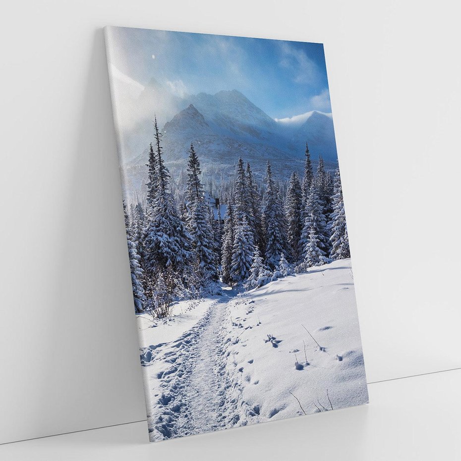 Obraz na płótnie 70x100 - Zimowe góry w lesie - góry, zima