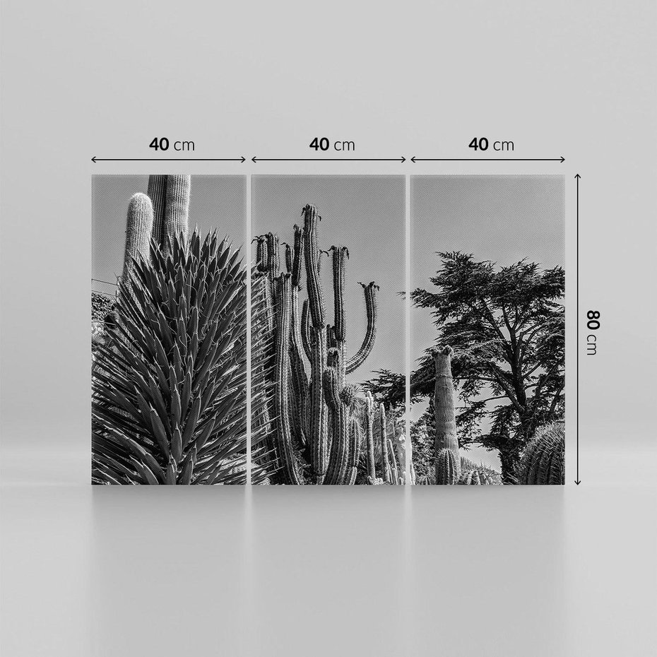 Obraz na płótnie 120x80 - Pustynny Klimat - czarno białe zdjecie, pustynia